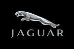 www.jaguar.hu